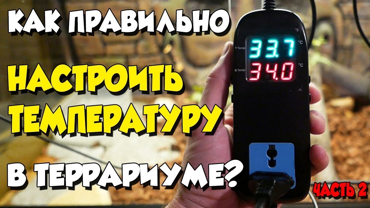 ТЕРМОРЕГУЛЯТОР C АЛИЭКСПРЕСС. УСТАНАВЛИВАЕМ В ТЕРРАРИУМ К ЖИВОМУ УДАВУ!!!