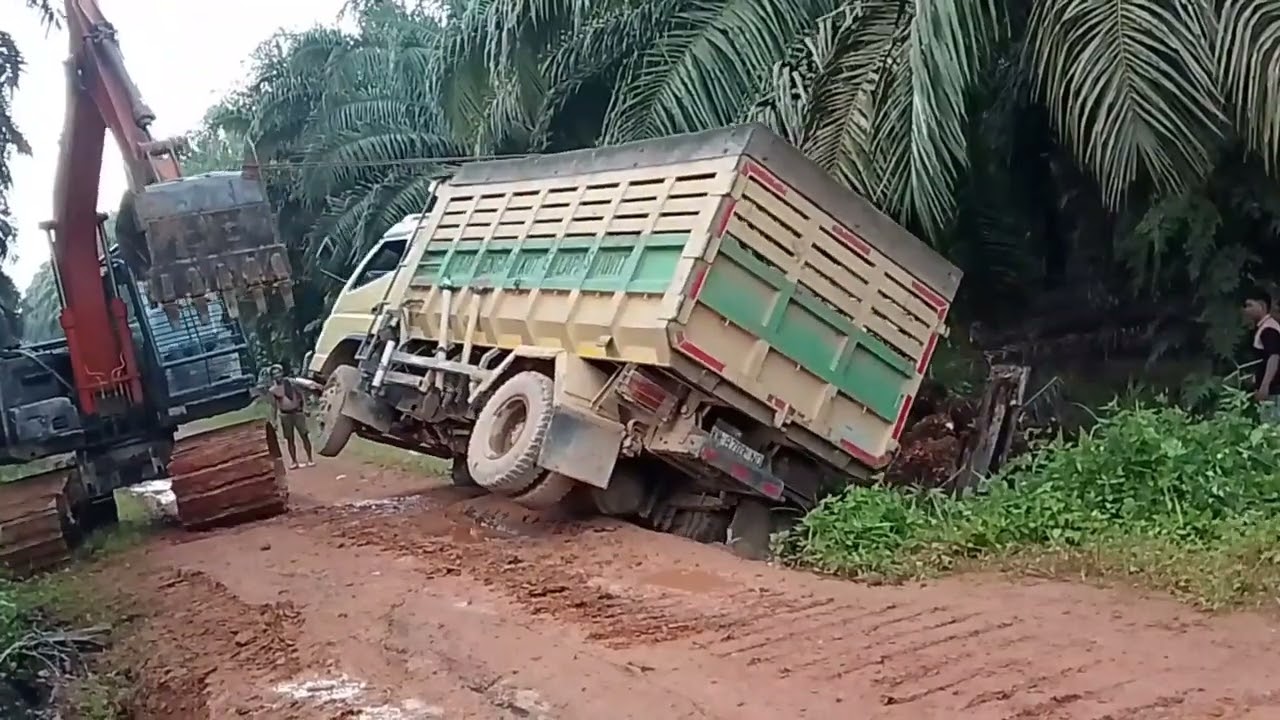 Bantu naikan truk yang terbalik bawa buah sawit