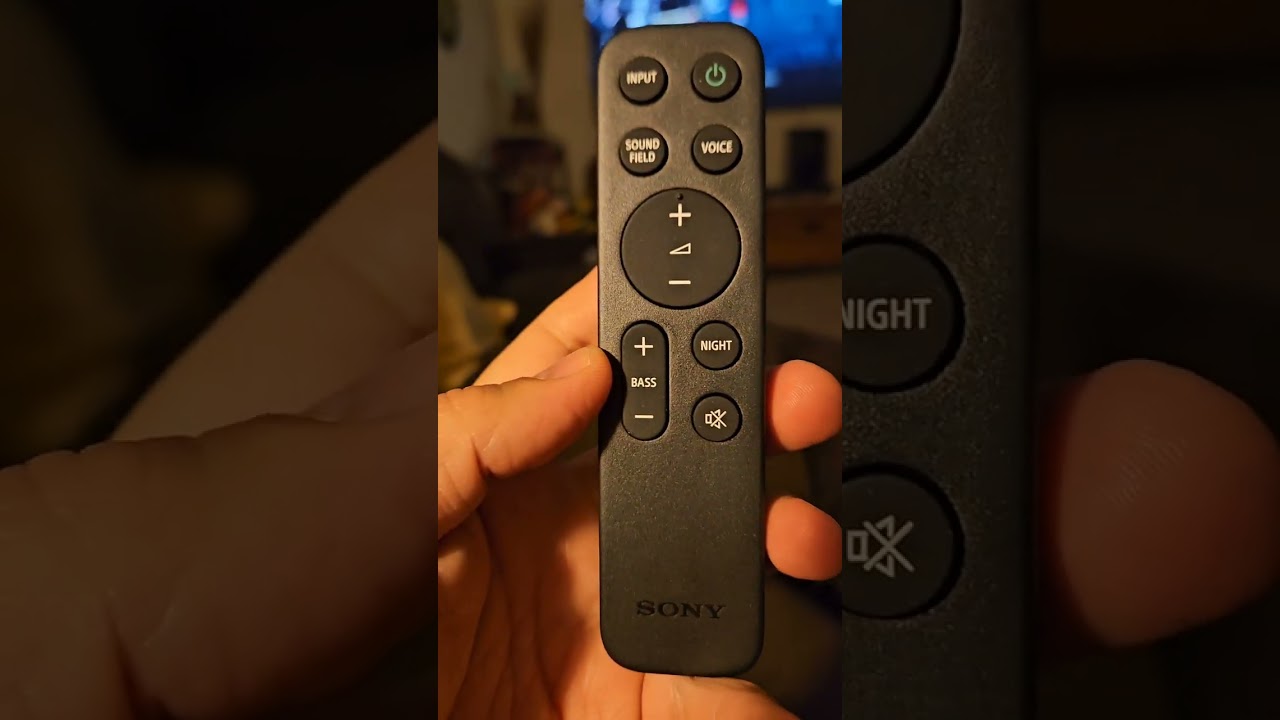 Costco Sony Sound Bar SC 40 Review