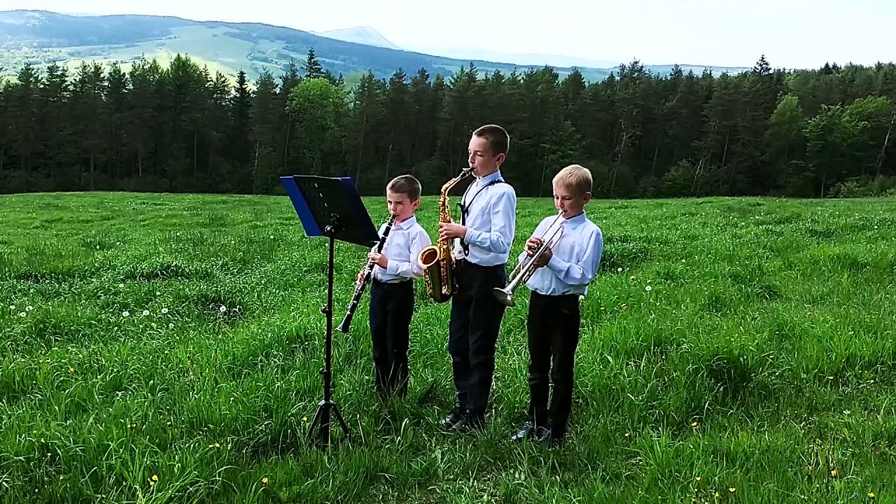 Bracia Stelmachowie, Szkoła Muzyczna I st. w Rymanowie