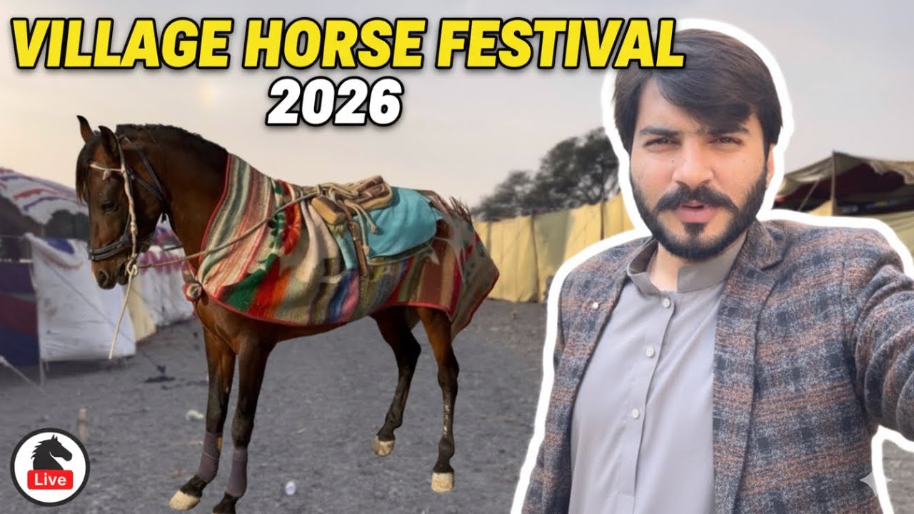 Village Horse Festival 2026 | Desi Mela aur Shandaar Ghode 🐎