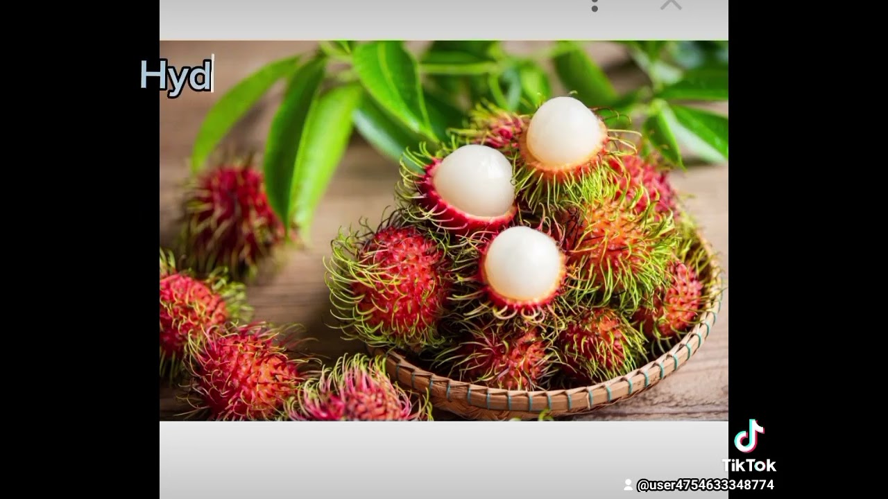 BENEFITS OF RAMBUTAN||vickycosme channel