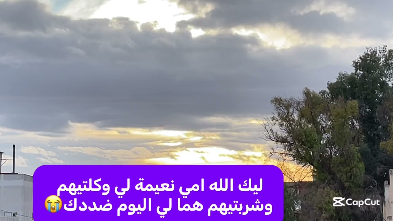 عاجل🛑قضية حماضت البدوية طلب و ترغب و النويدي دعوى ضدها تفعلات وفيها مشات😱@Maryamlbadawiya 