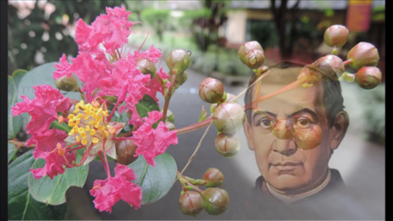Canción Claretiana - JESÚS TE LLAMA