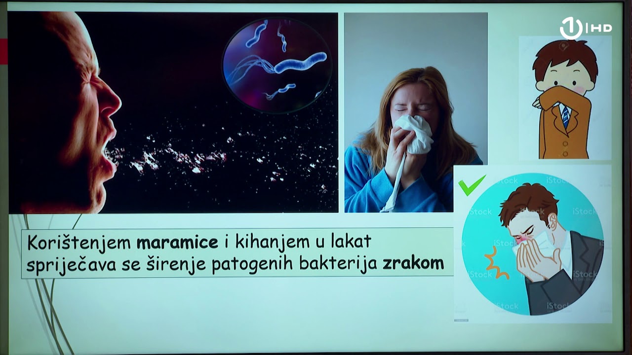 Domaća zadaća za 6. razred: Biologija - Bakterije – izazivači bolesti