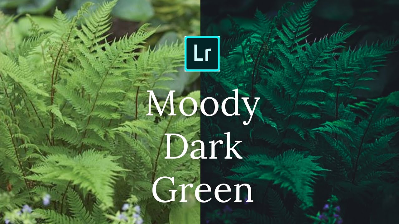 Moody Dark Green - Lightroom Mobile editing //Moody Green Lightroom Mobile