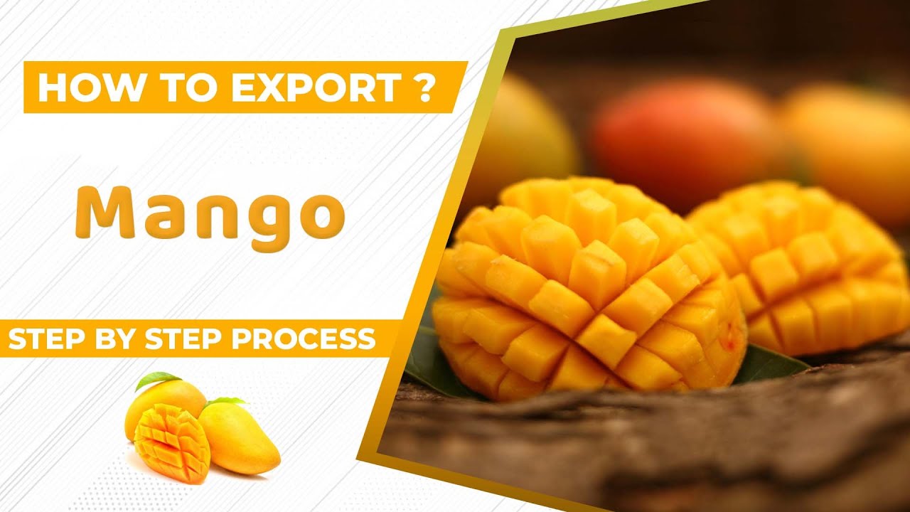 How to Export Mango A to Z information | Mango Export Import Business | by Paresh Solanki