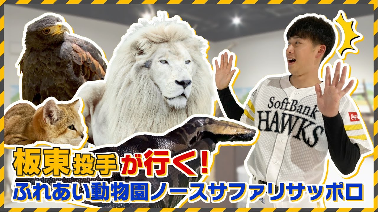 【満喫し過ぎてつい長居】板東湧梧投手がスリル満点の動物園に挑む！