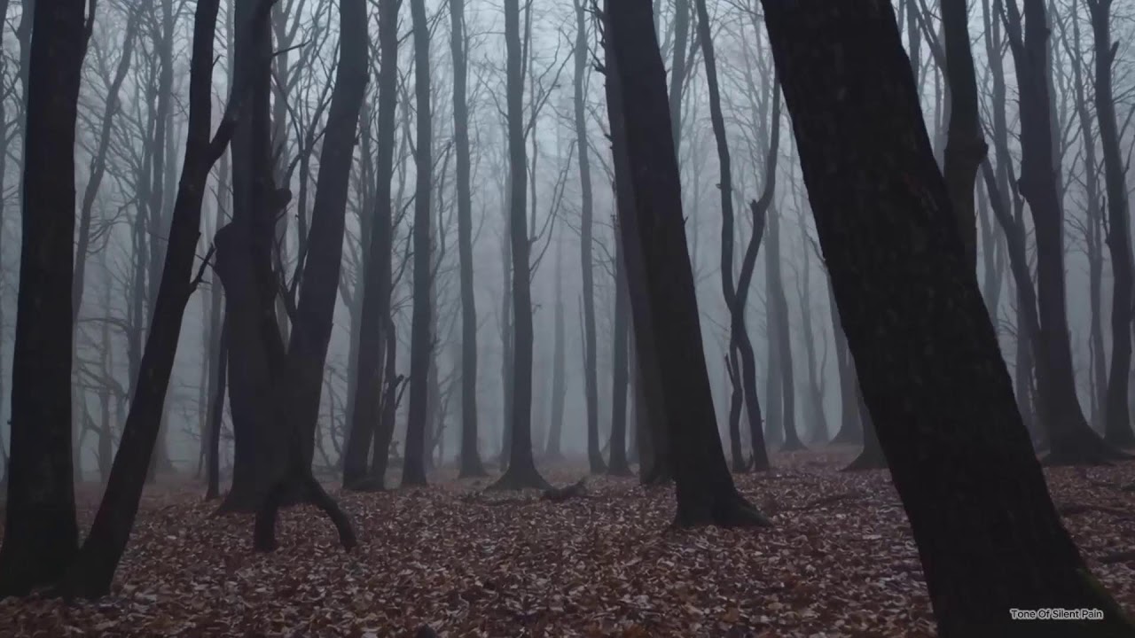 Piano Instrumental , calm, melancholic sleep ASMR music - Relax / Sad / #classicalmusic