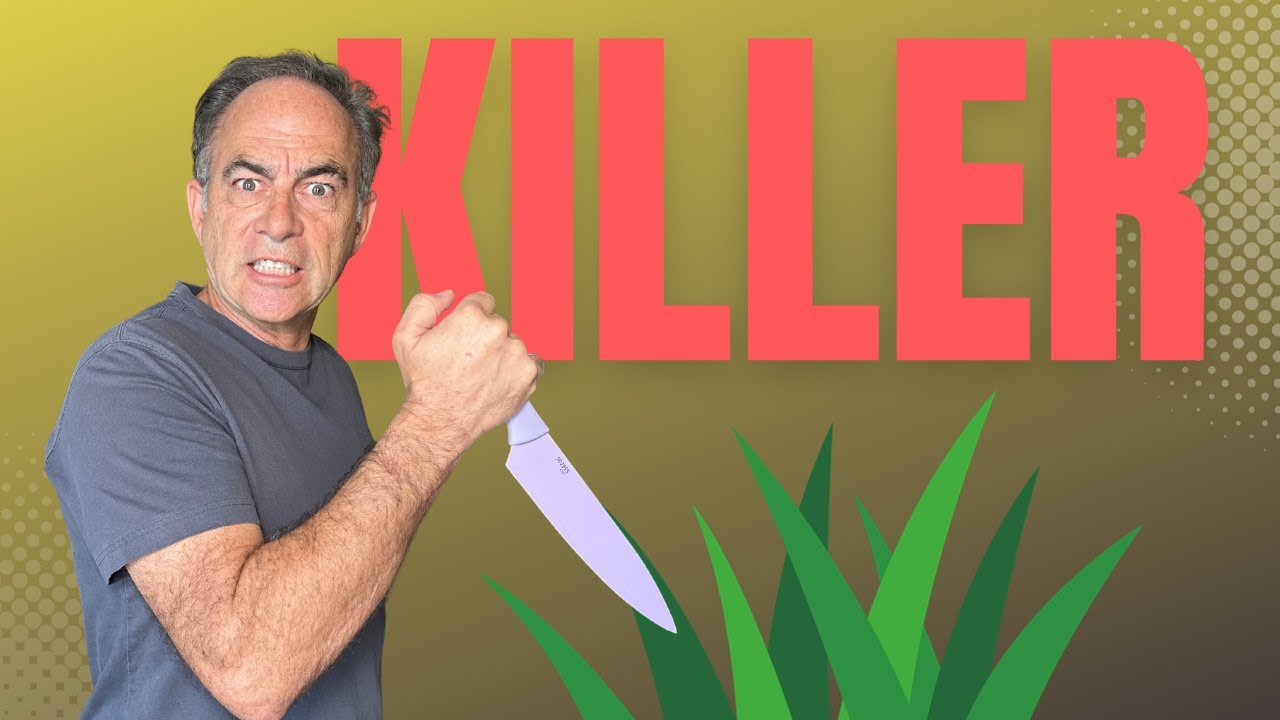 Kill Grass and Weeds With Salt