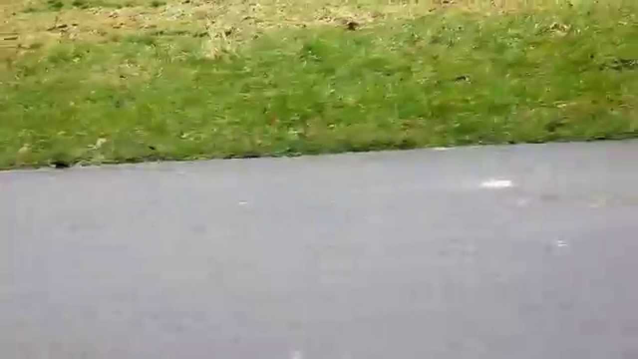 Rundlauf an der Kemnade als sehr sch&ouml;ne Joggingrunde
