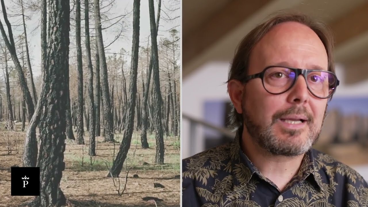 Eduardo Nave en la obra artística de Paradores