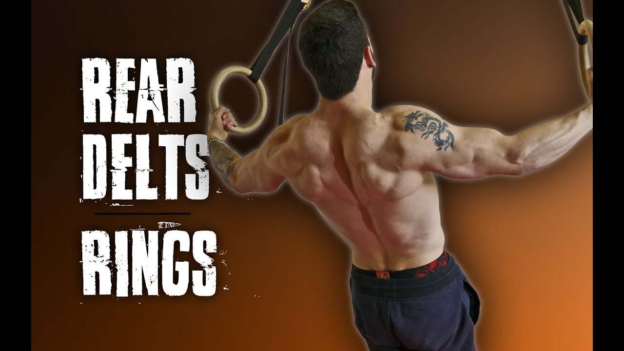 REAR DELT FLYS | GYMNASTICS RINGS | CALISTHENICS