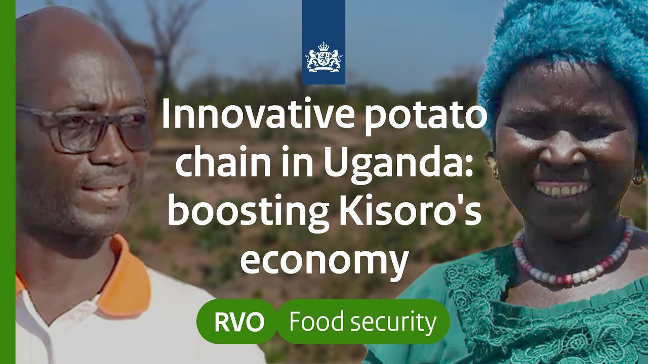 Innovative potato chain in Uganda: boosting Kisoro's economy