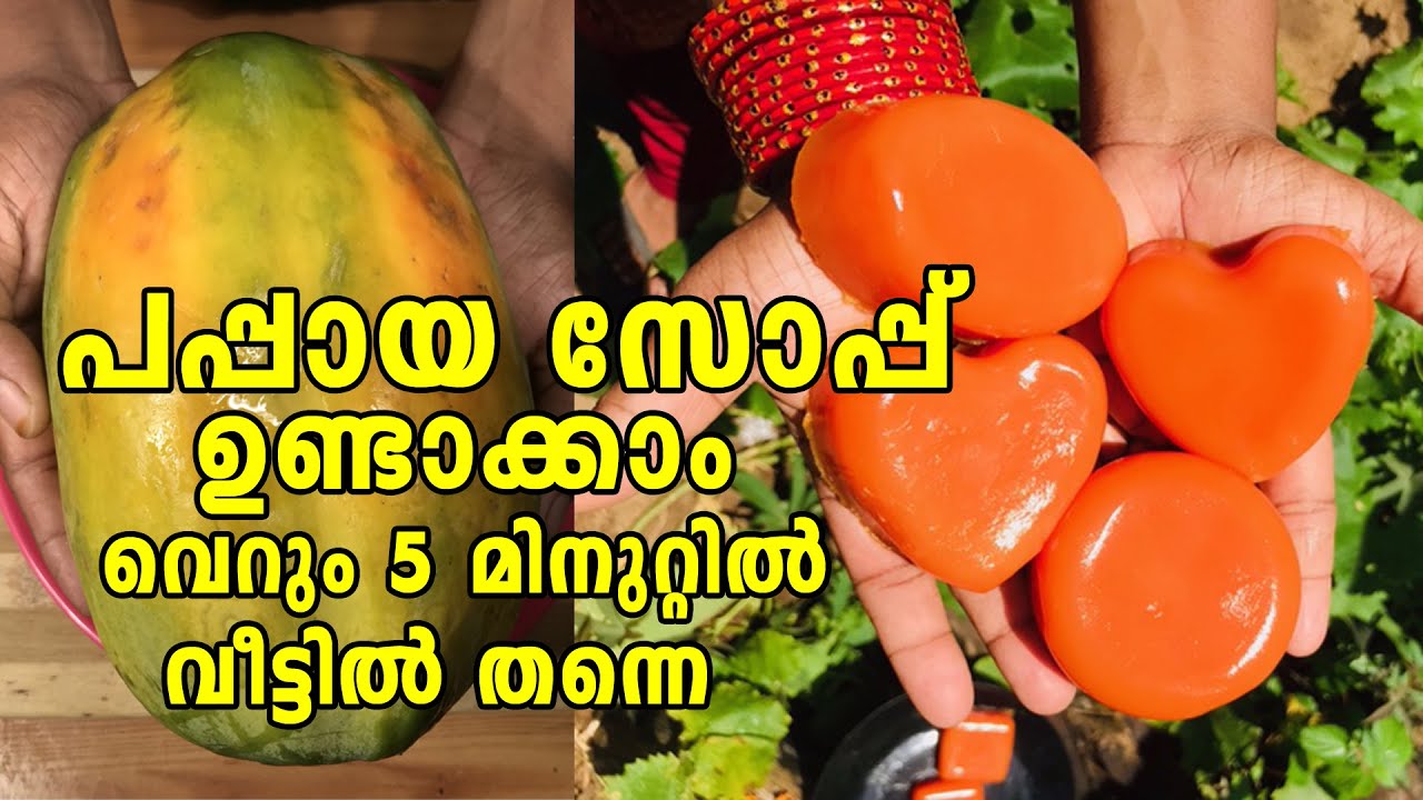 പപ്പായ സോപ്പ് വീട്ടിൽ ഉണ്ടാക്കാം അഞ്ച് മിനുറ്റിൽ നല്ല മണമുള്ള സോപ്പ് | Papaya soap making at home