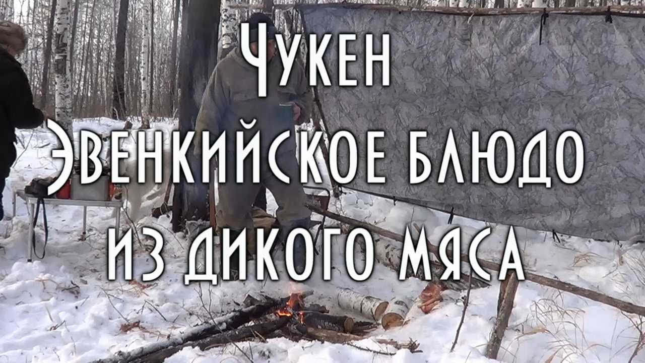 ГОТОВИМ ЧУКЕН, ЭВЕНКИЙСКОЕ БЛЮДО ИЗ МЯСА ДИКИХ КОПЫТНЫХ ЖИВОТНЫХ