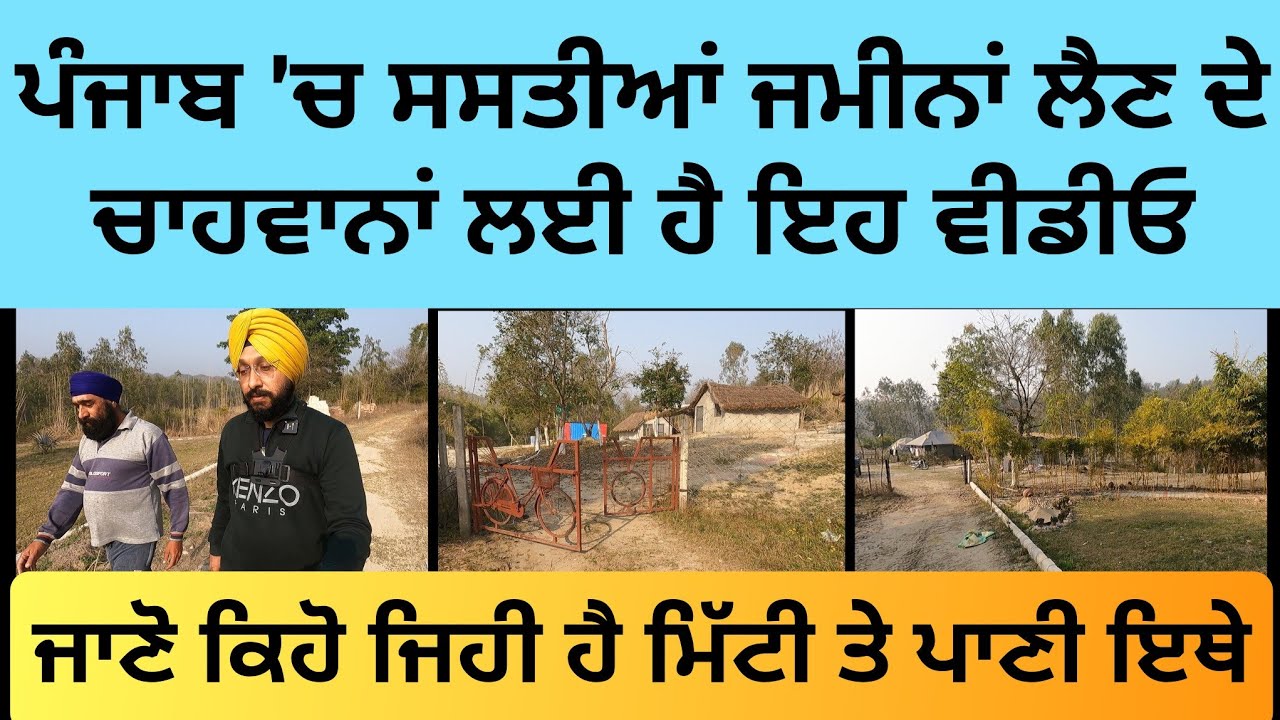 ਪੰਜਾਬ 'ਚ ਸਸਤੀਆਂ ਜਮੀਨਾਂ ਲੈਣ ਦੇ ਚਾਹਵਾਨਾਂ ਲਈ ਹੈ ਇਹ ਵੀਡੀਓ-ਜਾਣੋ ਕਿਹੋ ਜਿਹੀ ਹੈ ਮਿੱਟੀ ਤੇ ਪਾਣੀ-ਹੁਸ਼ਿਆਰਪੁਰ