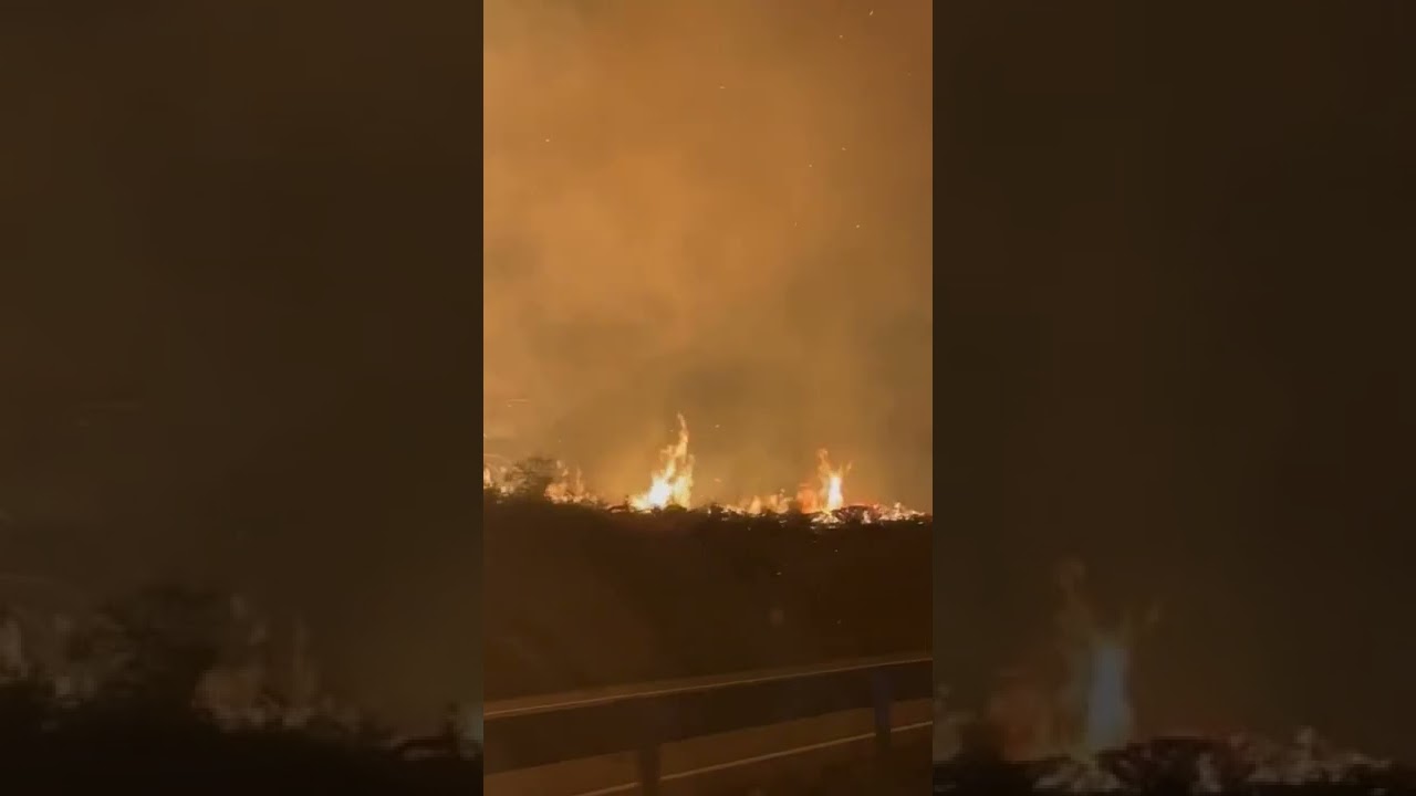 Collipulli Chile Wildfire February 2022