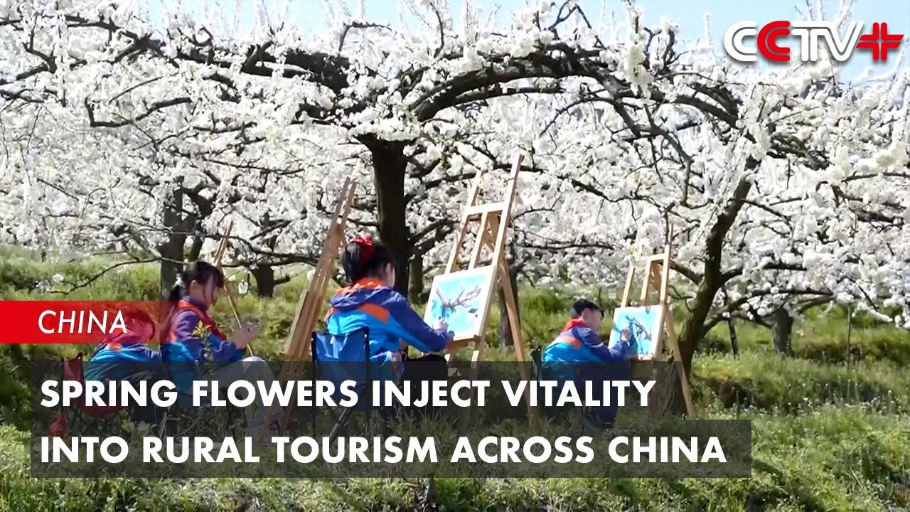 Spring Flowers Inject Vitality into Rural Tourism Across China