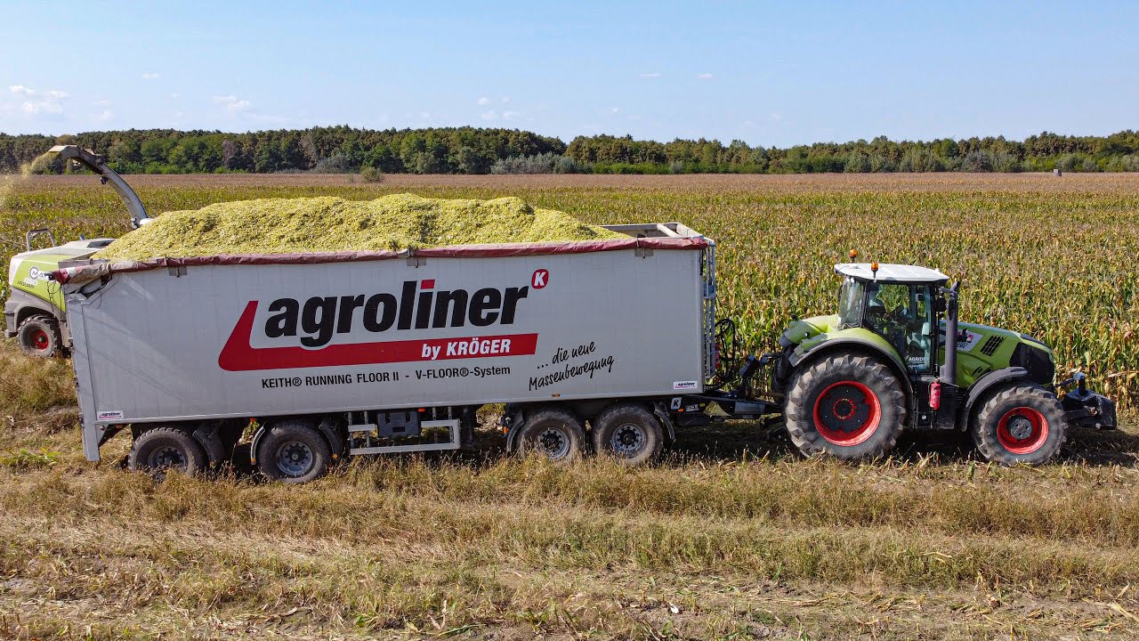 Mais - 2023 CLAAS JAGUAR 850 | 3x Claas Axion | Kukorica Silózás | Corn Silage
