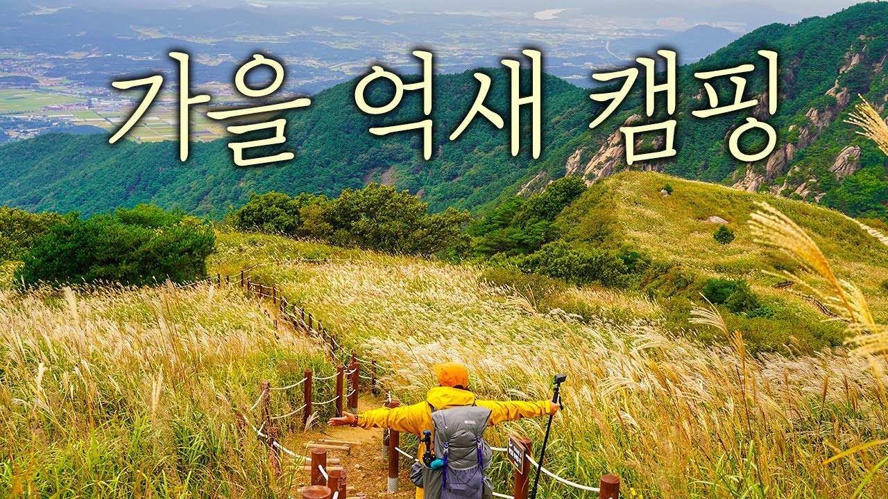 [Sub/4K] Camping in a mountain where Korean silver grass is cool silver grass l Korea Camping