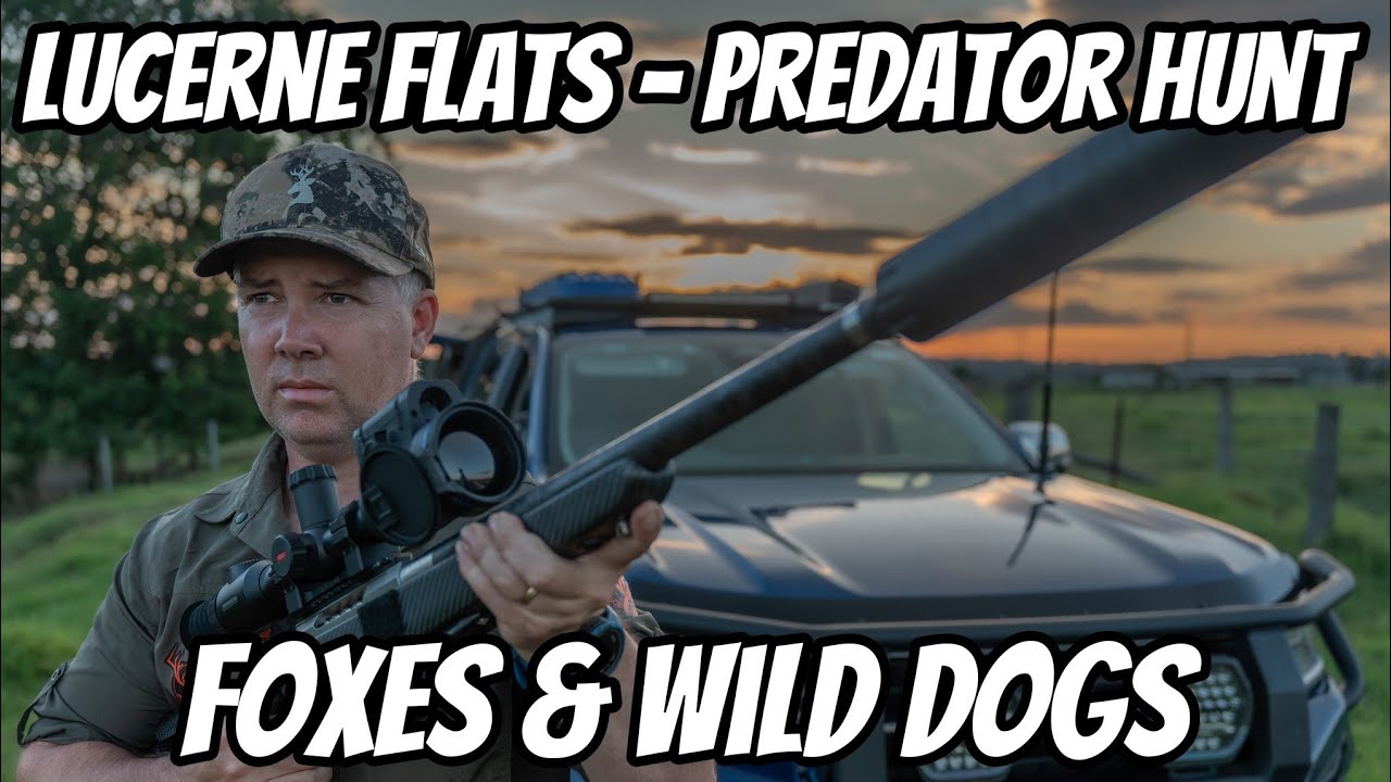 EDGE of the OUTBACK Predator Hunt || Pulsar Thermal + 6BR in Action [Foxes & Wild Dogs]