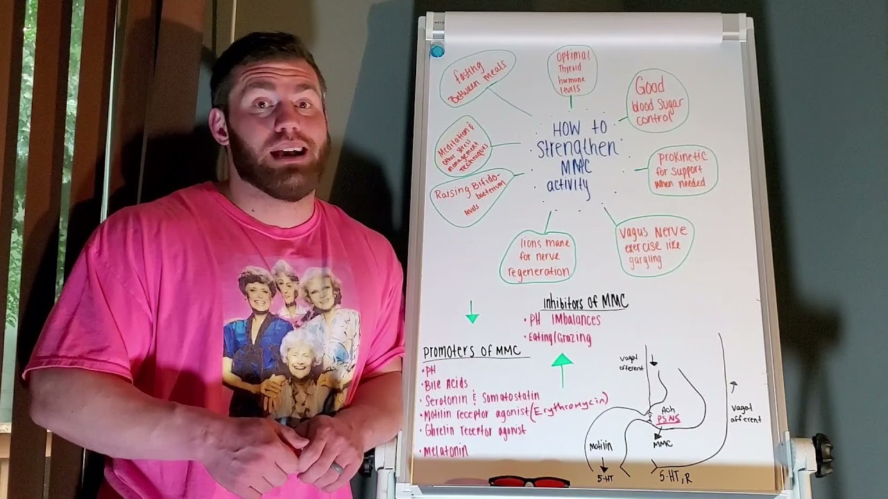 Migrating Motor Complex: White Board!