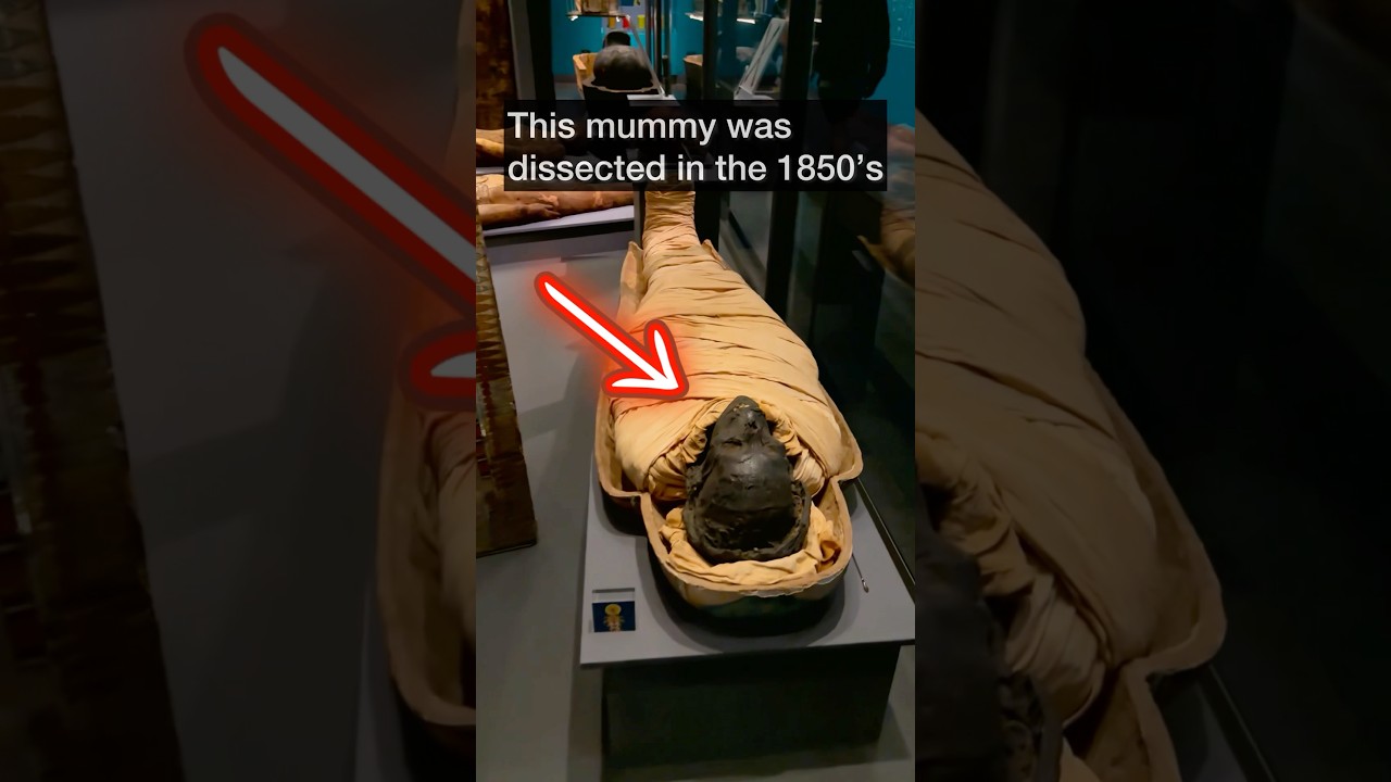They found something inside the mummy&hellip;.