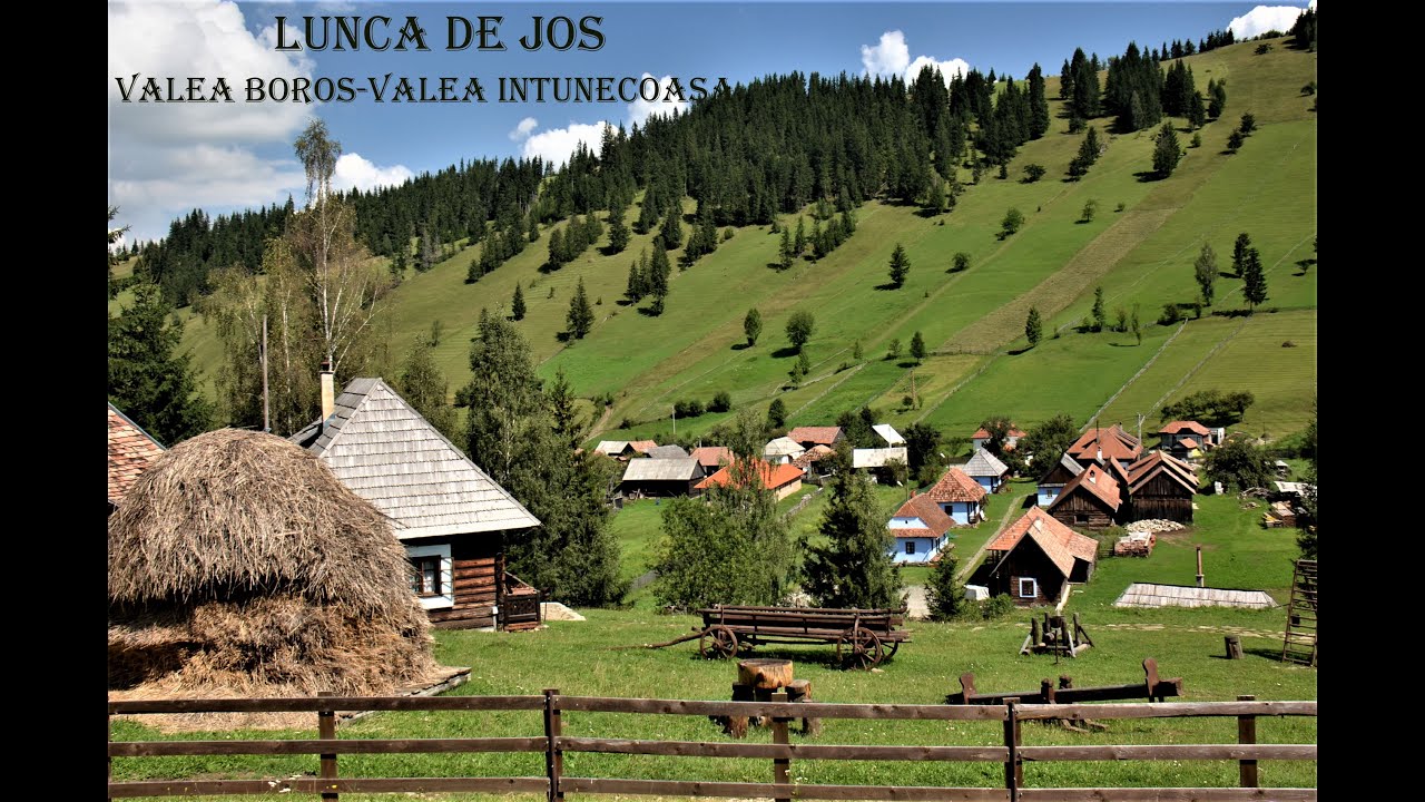 Lunca de Jos-Valea Boroș și Valea Întunecoasă(HR)🌞🦅🌲