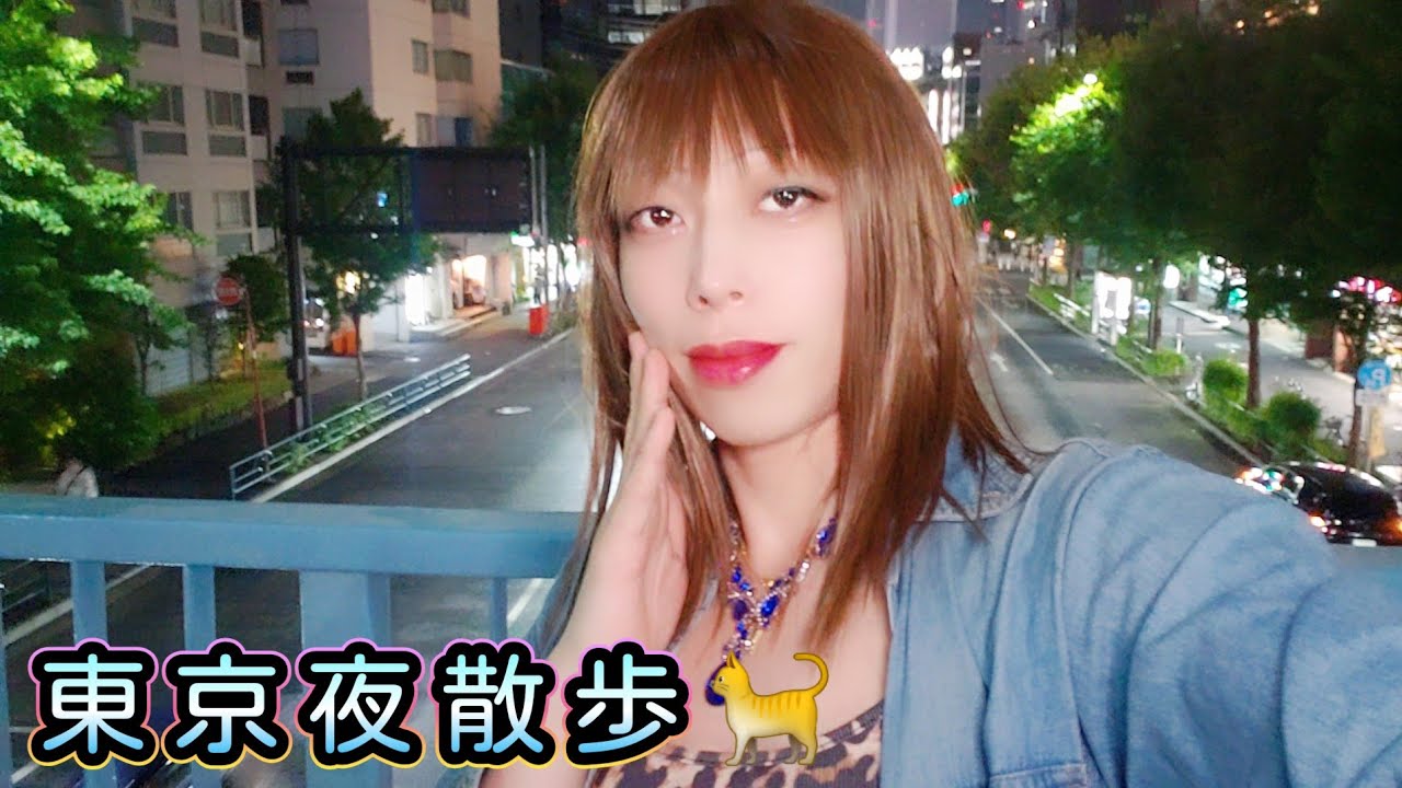 上野夜散歩その2🌃🐈