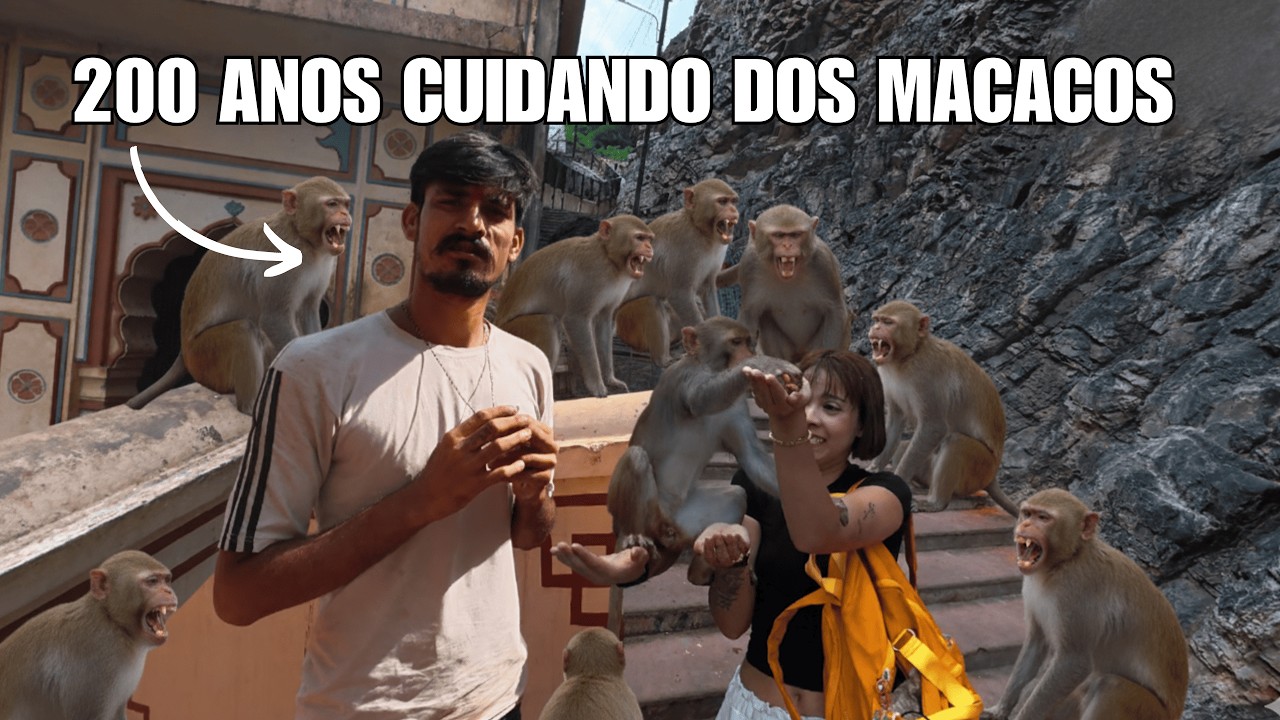 O TEMPLO QUE OS MACACOS SÃO SAGRADOS NA ÍNDIA