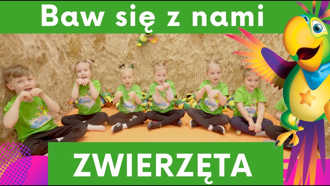 Baw się z nami! || ZWIERZĘTA || Super zabawa dla dzieci | Ćwiczenia na pamięć i koncentrację