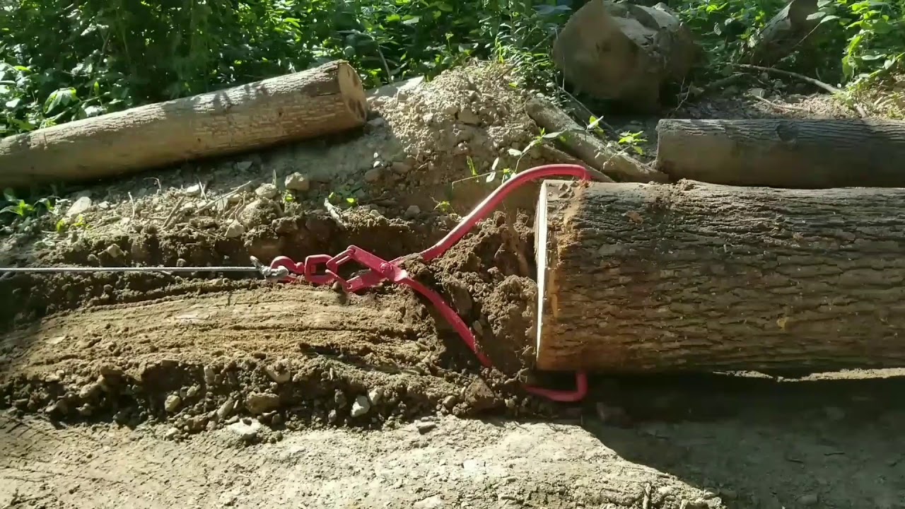 Winching Logs onto a Trailer with Log Skidding Tongs