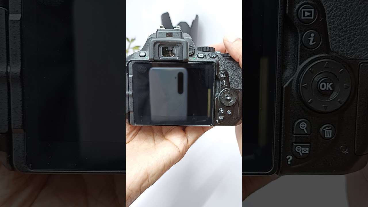 Nikon D5600 burst mode speed