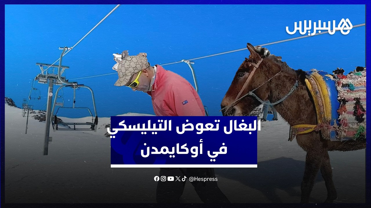 البغال تعوّض توقف التيليسكي في محطة أوكايمدن وسط مطالب بإعادة تشغيله