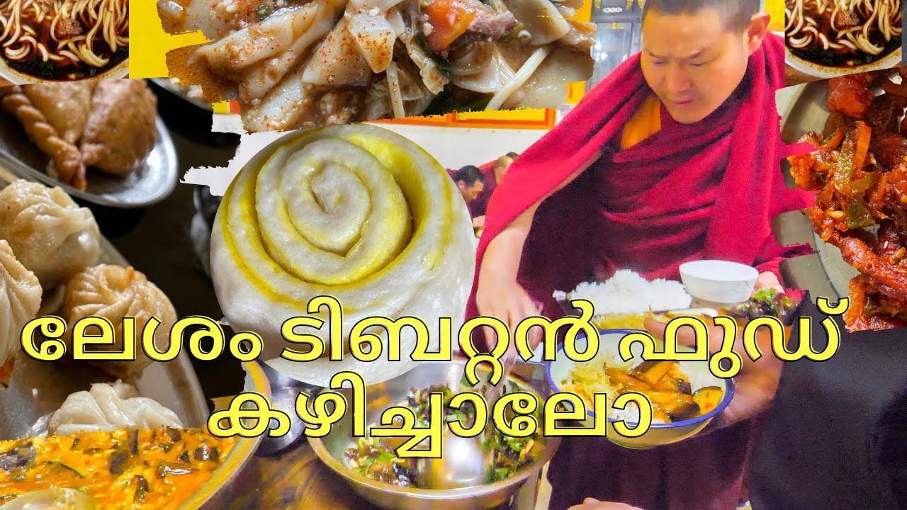 Tibetan Mother's Kitchen | Best Restaurants in Banglore | Malayalam Food Video