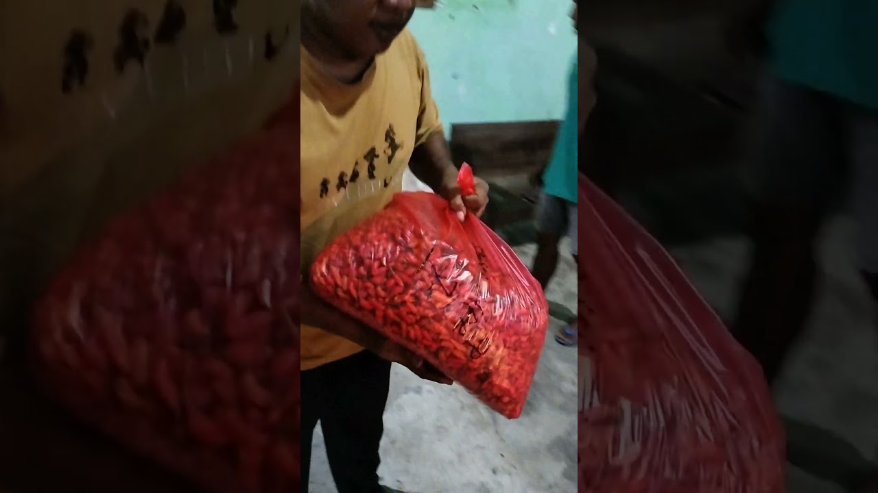 Info lelang cabe Wonoroto Ngombol Purworejo