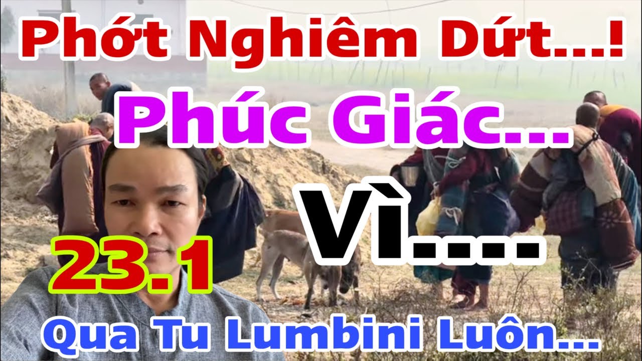 Phớt Nghiêm Qua Lumbini Lụm Phúc Giác Luôn…! Vì Điều Này Vẫn Còn Cay Cú…