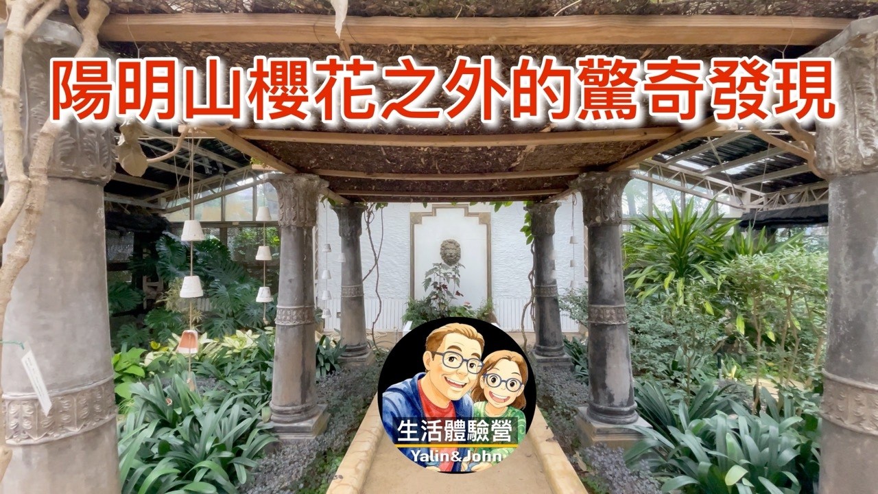 2026.2陽明山花季.小隱潭.50砲陣地.花卉試驗中心