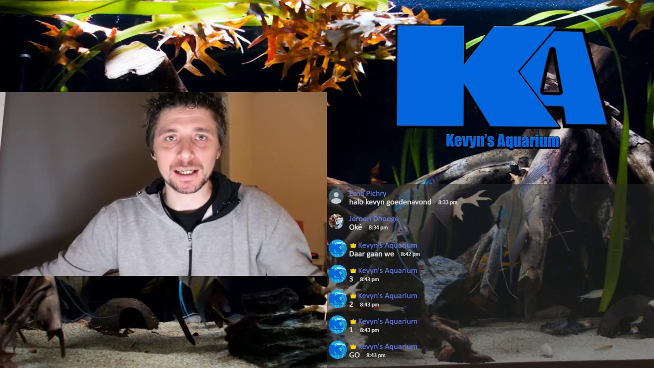 LIVE: Gezellige babbel - Q&A