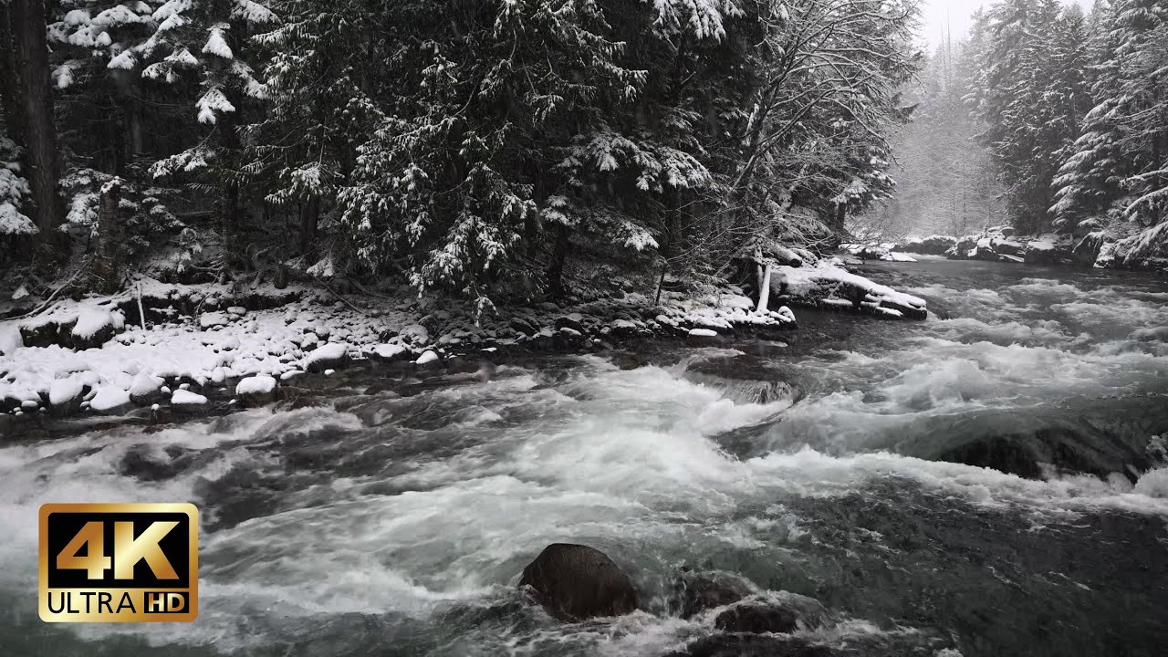 Snowy Forest River in Winter | 10h Winter Ambience for Deep Calm & Focus