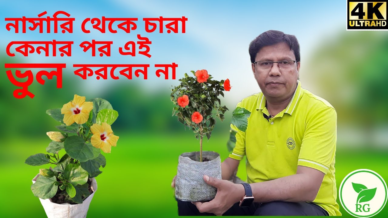 Follow These Tips  After Purchasing Flower Plants from Nursery | They Must NEVER Die | @RAJGardens