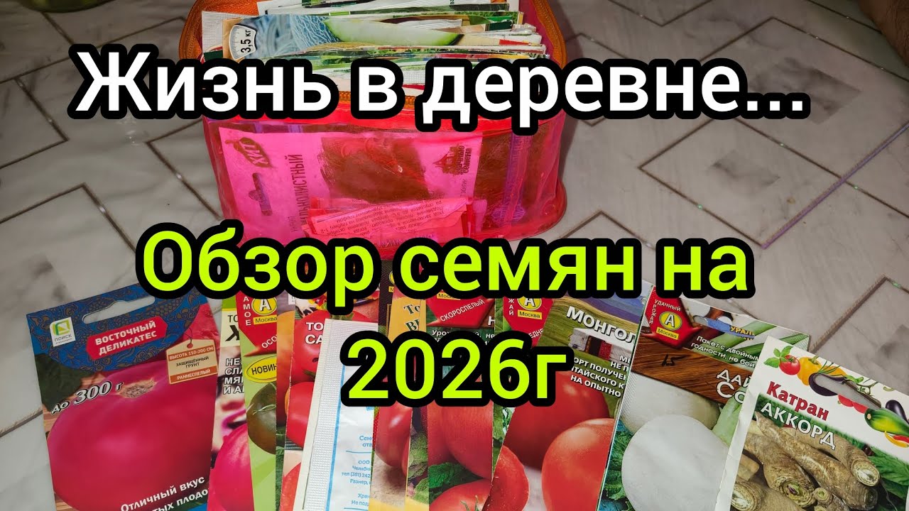 Как живут в русской деревне/Обзор семян на 2026/ Что будем сажать в огороде? #деревня #обзор