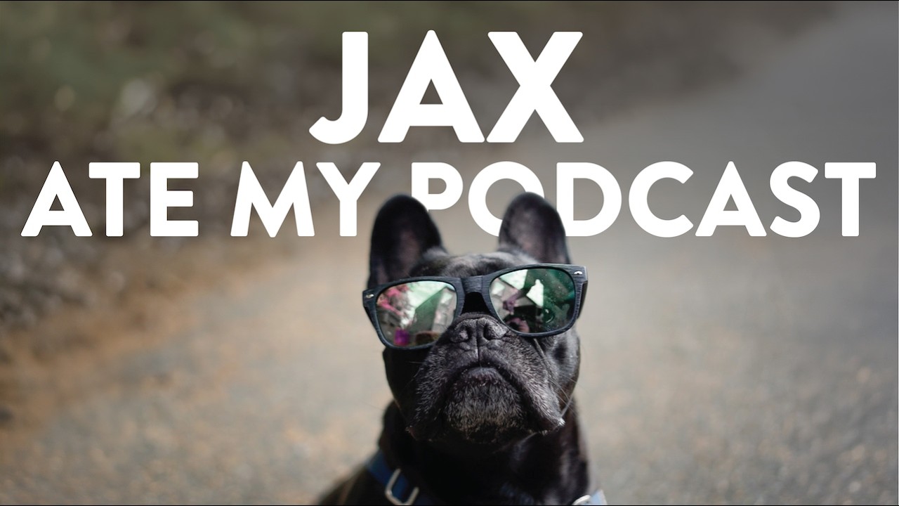 Ball Above All with Jax the French Bulldog