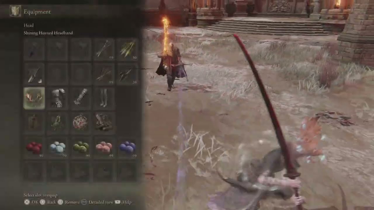 Elden Ring Arena is an Experience