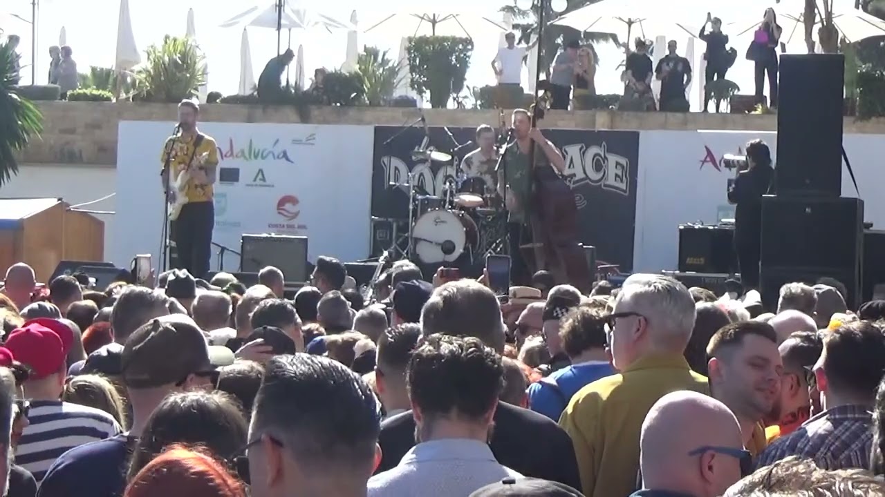 THE DOMESTIC BUMBLEBEES - 30º Rockin´ Race Jamboree (Torremolinos) 03-02-2024