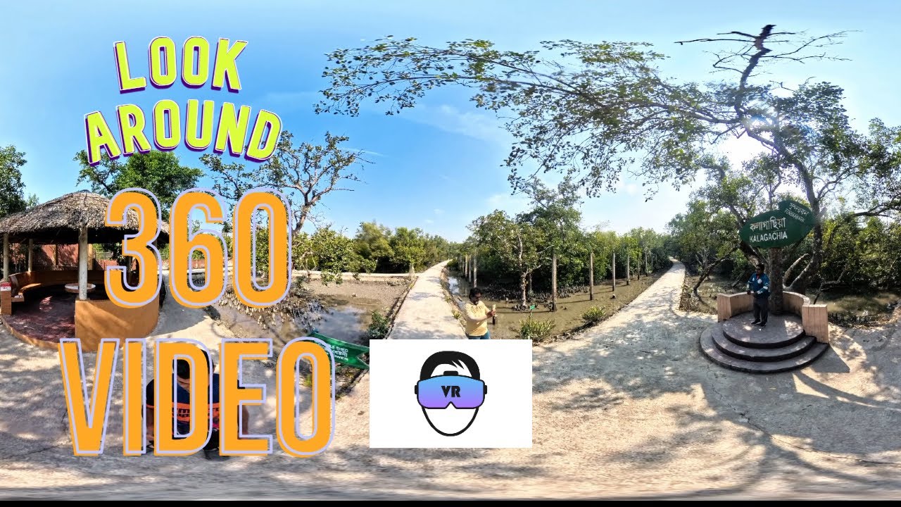 Walk Through the Sundarbans in 360° 🌿 | Immersive Mangrove Forest Experience | Bangladesh