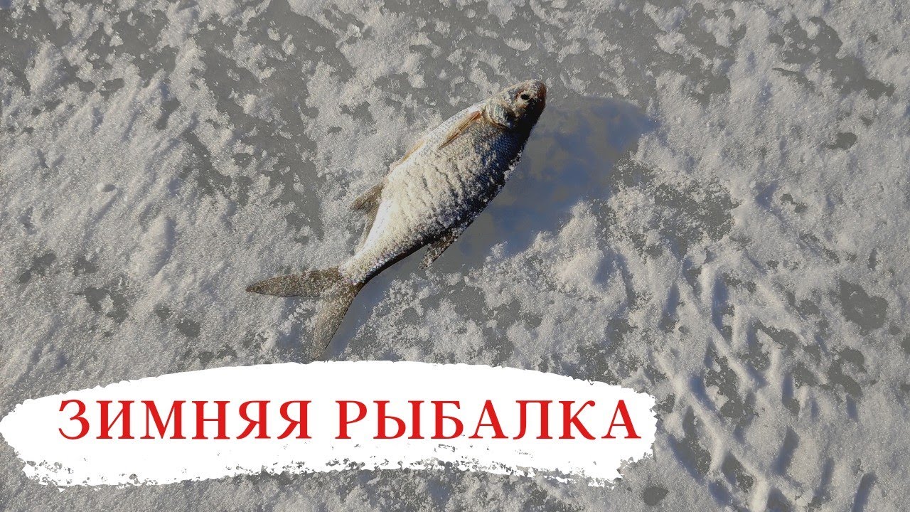 Зимняя рыбалка. Огромный улов! 😉 √23