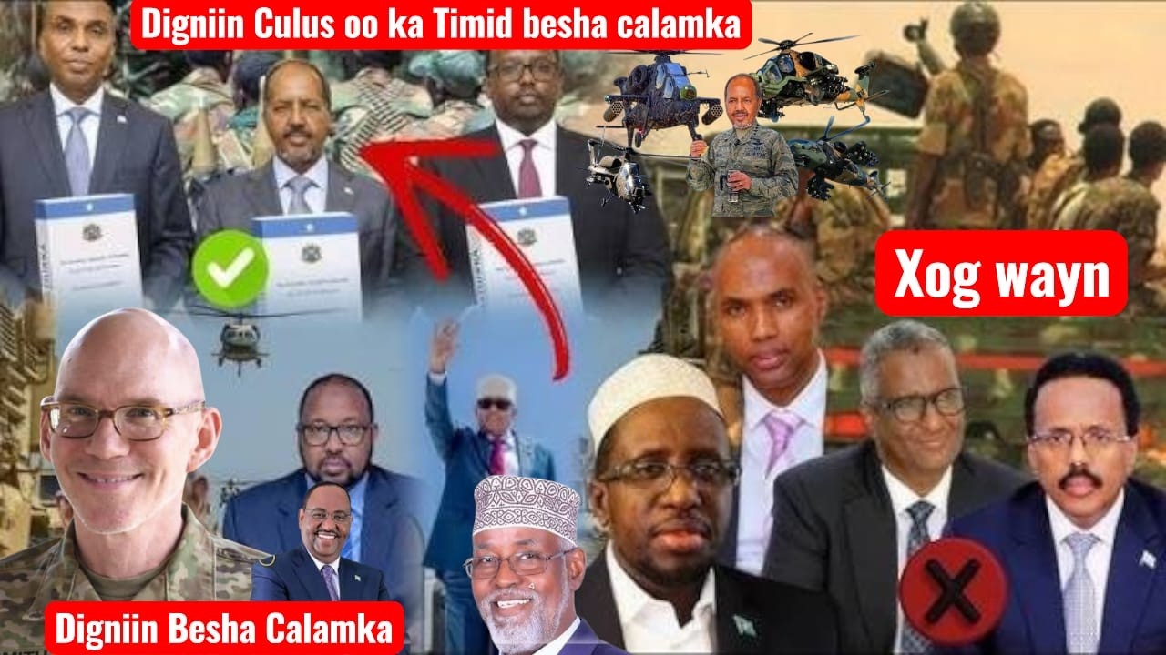 DEG DEG: Beesha Caalamka oo Dalab Adag u Dirtay Said Abdullahi Deni – Hassan Sheikh Mohamud oo..