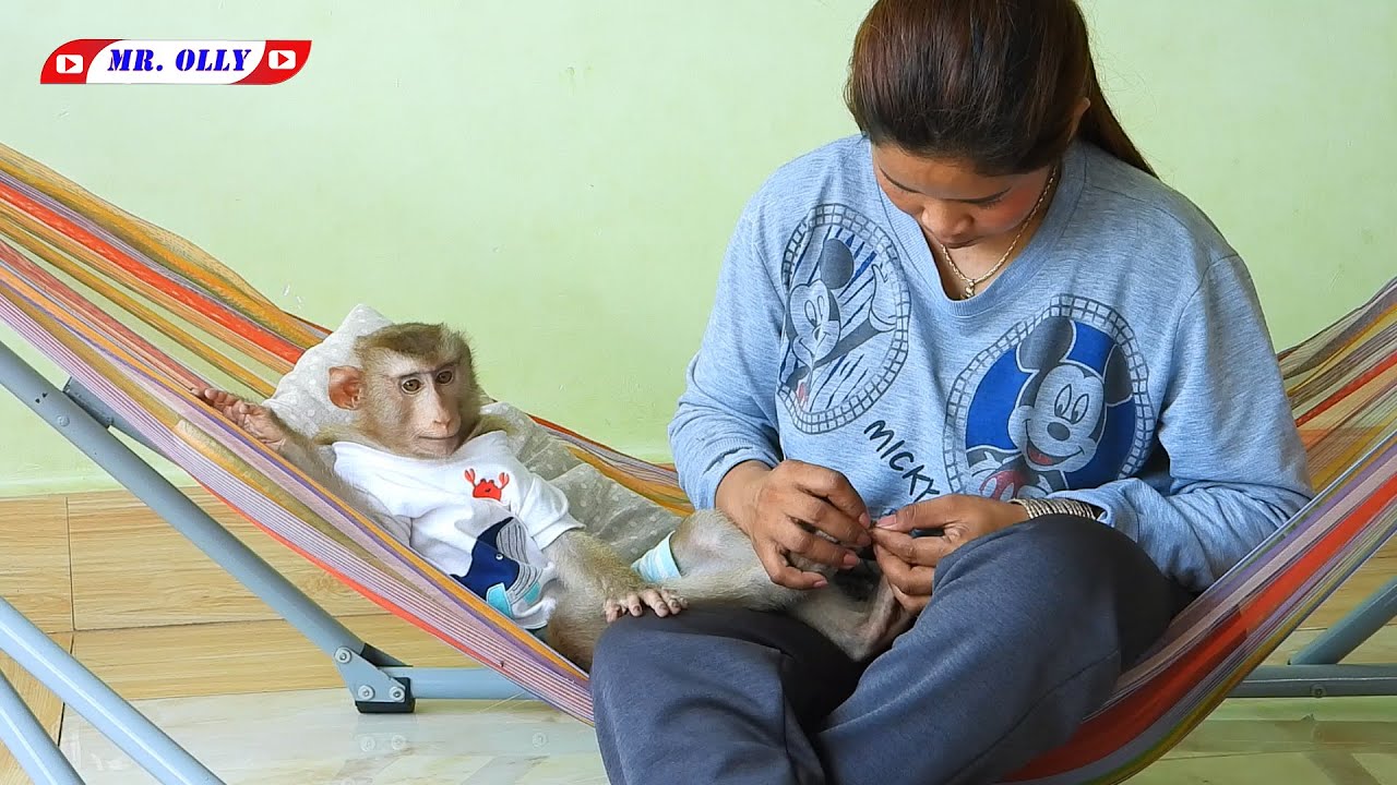Mr. Kako Sleep Well While Mom Grooming For Him